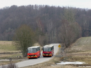 Ikarus 260.04 #28339