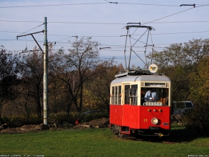 N #11