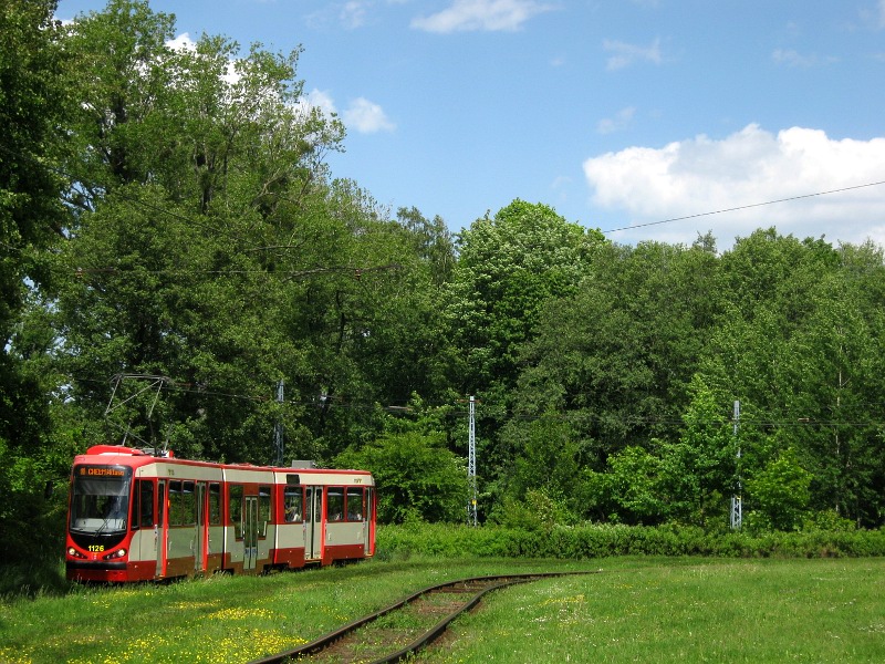 N8CNF #1126