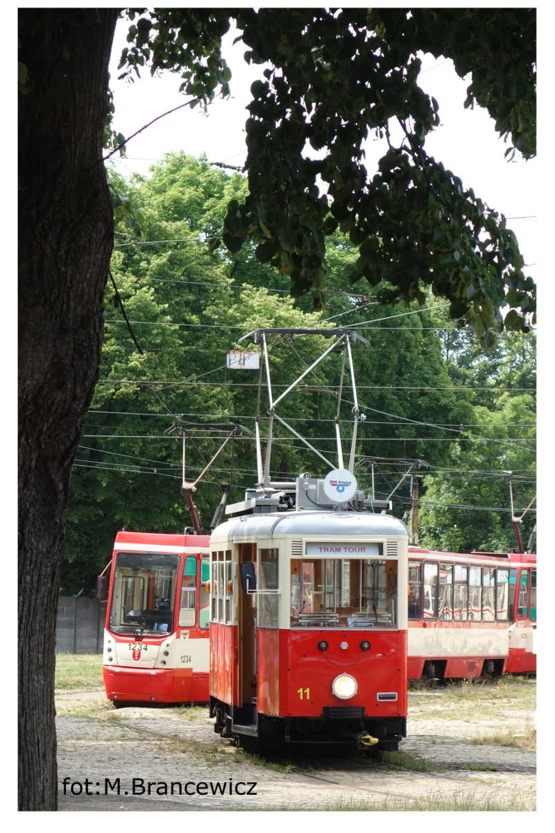 N #11