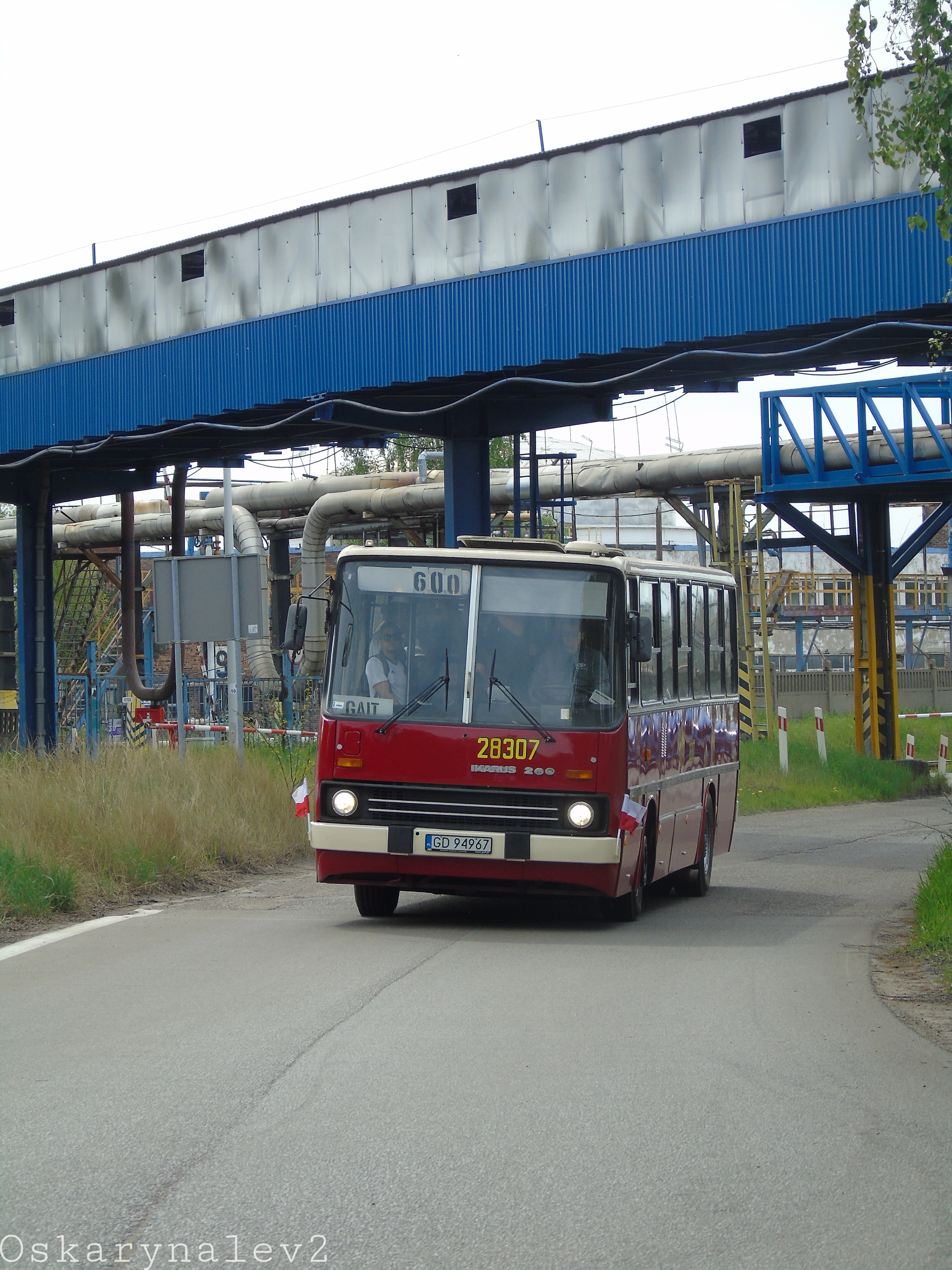 Ikarus 260.73A #2307