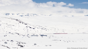 Norweska maj�wka