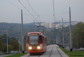 N8C #1134