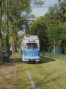 SGP E1 #145