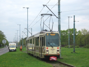N8C #1137