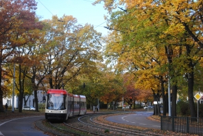 Pesa 120NaG #1011