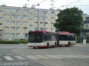 MAN NG323 Lions City G #9279