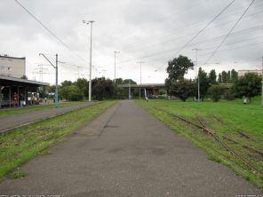P�tla Kliniczna